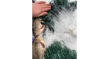 Сеть Трохстінка 50 метров 1,7 висота Яч 25-80 мм
